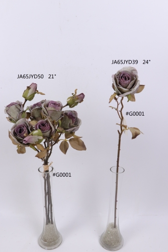 2021XAMS-JA61-10