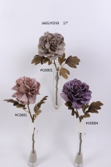 2021XAMS-JA61-19<br />
Col: