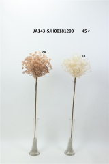 2021XAMS-JA143-65<br />
Col: