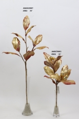 2021XAMS-JA60-04<br />
Col: