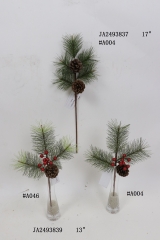 2021XAMS-JA2467<br />
Col: