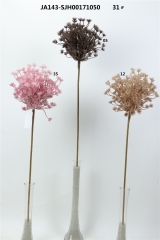 2021XAMS-JA143-66<br />
Col:
