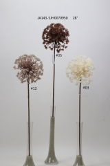 2021XAMS-JA143-19<br />
Col: