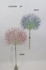 2021XAMS-JA2475<br />
Col: