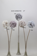 2021XAMS-JA143-14<br />
Col: