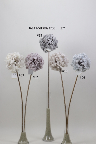 2021XAMS-JA143-14