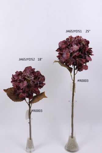 2021XAMS-JA61-15