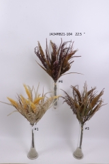 2021XAMS-JA3438<br />
Col: