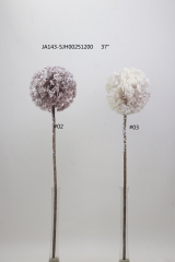 2021XAMS-JA143-12<br />
Col: