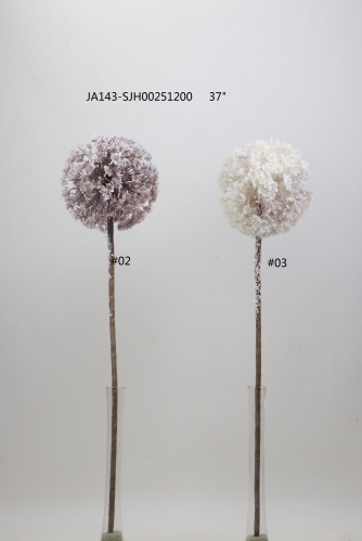 2021XAMS-JA143-12