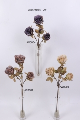 2021XAMS-JA61-18<br />
Col: