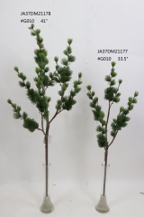 2021XAMS-JA3761<br />
Col: