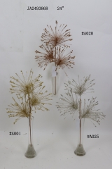 2021XAMS-JA2429<br />
Col: