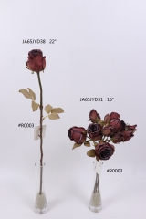 2021XAMS-JA61-24<br />
Col: