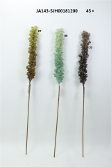 2021XAMS-JA143-62<br />
Col: