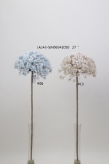 2021XAMS-JA143-16<br />
Col:
