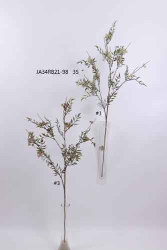 2021XAMS-JA3452