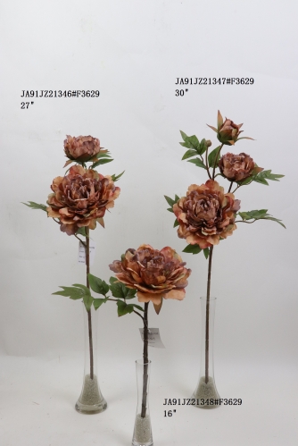 2021XAMS-JA91-06