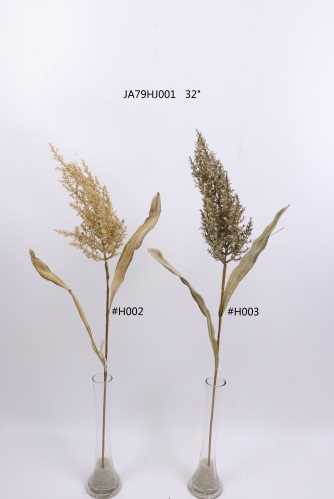 2021XAMS-JA79-05