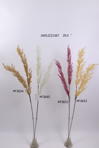 2021XAMS-JA91-18