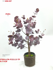 Item No.: JA89LCM-PJ2113-TP<br />
Col.: