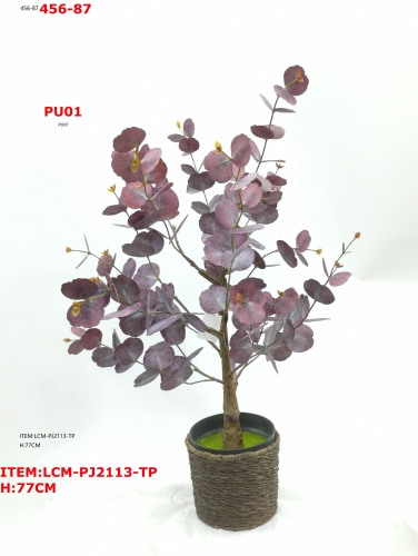 JA89LCM-PJ2113-TP