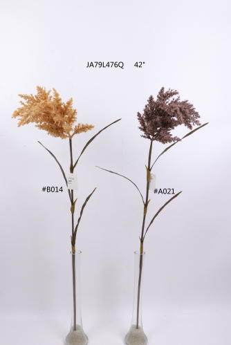 2021XAMS-JA79-03