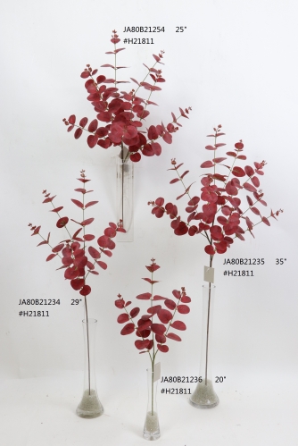 2021XAMS-JA80-04