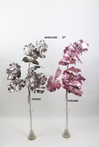 2021XAMS-JA50-11