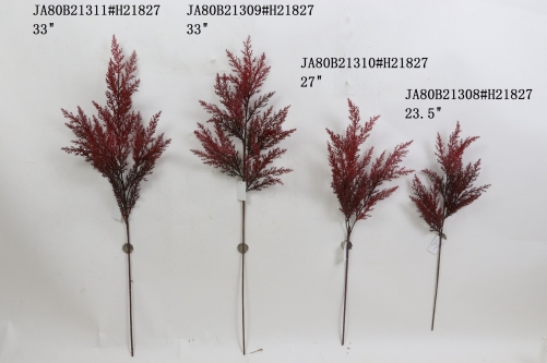 2021XAMS-JA80-15