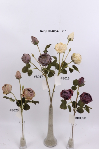 2021XAMS-JA79-21