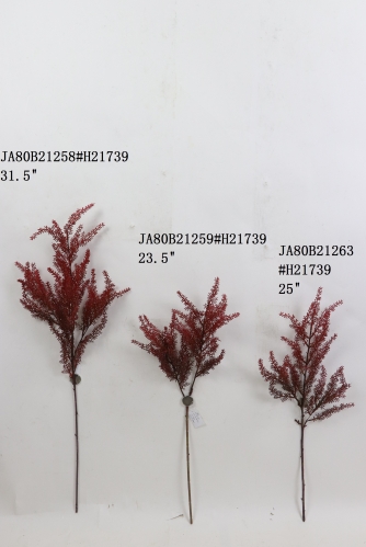 2021XAMS-JA80-13