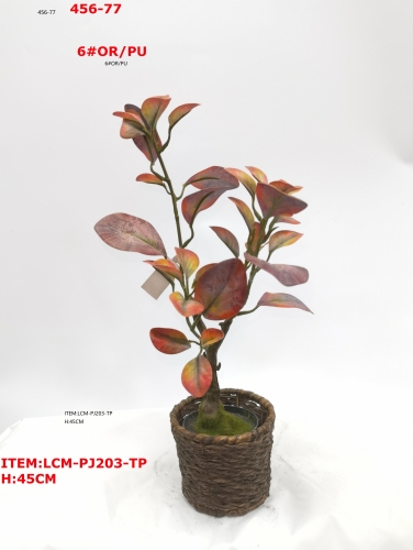 JA89LCM-PJ203-TP