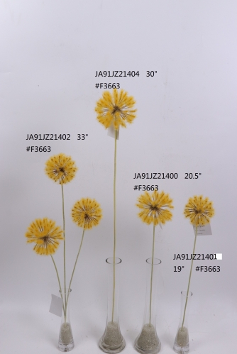 2021XAMS-JA91-23