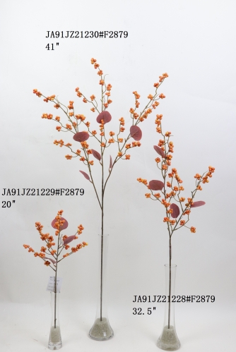 2021XAMS-JA91-07