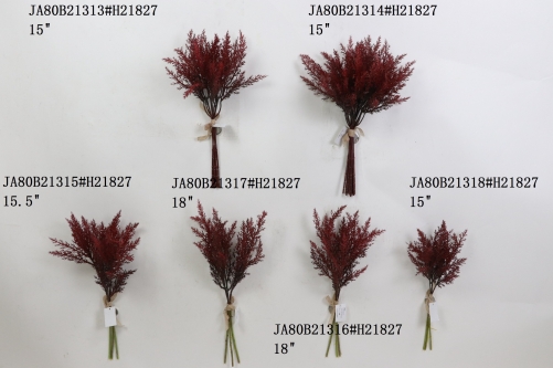 2021XAMS-JA80-16