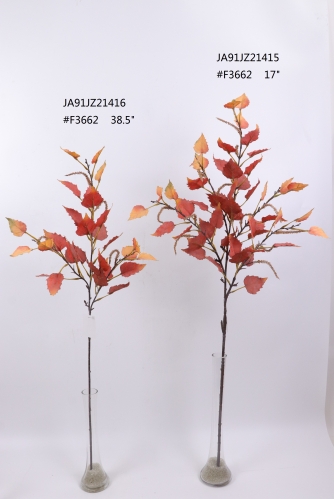 2021XAMS-JA91-01