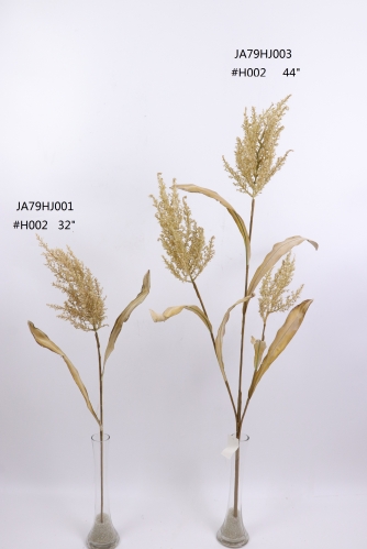 2021XAMS-JA79-04