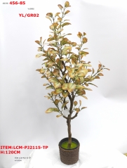 Item No.: JA89LCM-PJ2115-TP<br />
Col.: