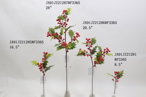 2021XAMS-JA91-12