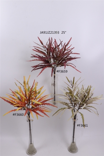 2021XAMS-JA91-17