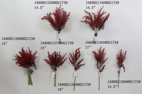 2021XAMS-JA80-11