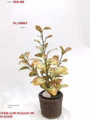 Item No.: JA89LCM-PJ2219-TP<br />
Col.:
