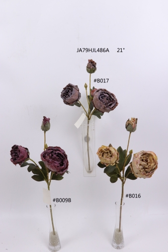2021XAMS-JA79-15