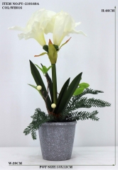 Item No.: JA75PY-210160A<br />
Col.: WH016