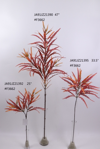 2021XAMS-JA91-16