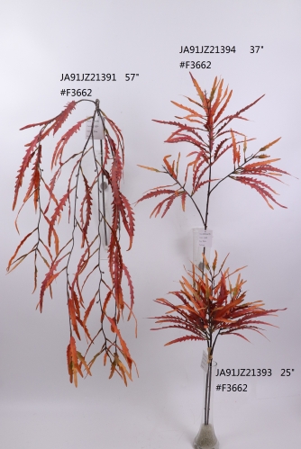 2021XAMS-JA91-15