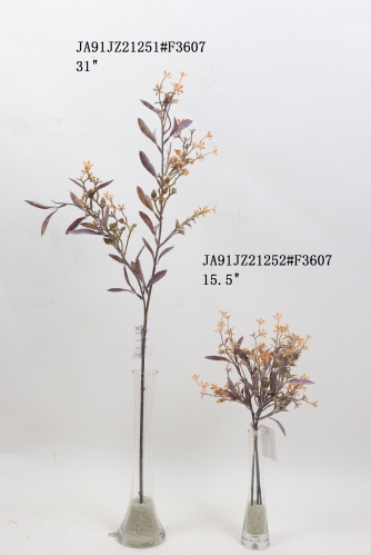 2021XAMS-JA91-13