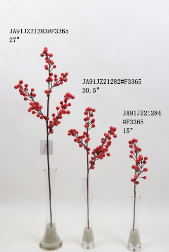 2021XAMS-JA91-11