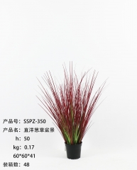 Item No.: JA135-SSPZ-350-6<br />
Col.: